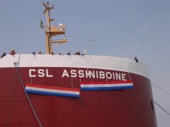 Thumbnail Image for CSL Assiniboine