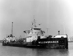 Thumbnail Image for Willowbranch