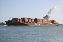 Thumbnail Image for MSC Tamara