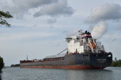 Thumbnail Image for Algoma Mariner