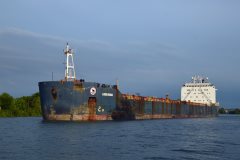 Thumbnail Image for Algoma Guardian