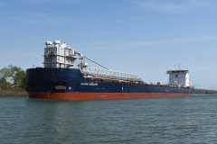 Thumbnail Image for Algoma Endeavour