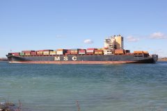 Thumbnail Image for MSC Anya