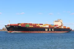 Thumbnail Image for MSC Anya