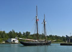 Thumbnail Image for Ernestina Morrissey oncontextmenu=