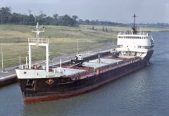 Thumbnail Image for Mondoc