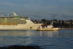 Thumbnail Image for Aucocisco III oncontextmenu=