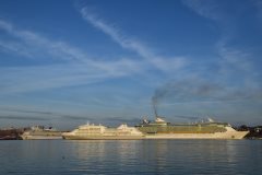 Thumbnail Image for Silver Shadow