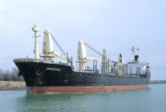 Thumbnail Image for Dorothea