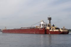 Thumbnail Image for Dirk S Van Enkevort