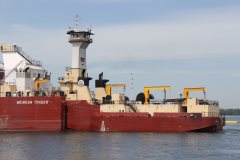 Thumbnail Image for Dirk S Van Enkevort