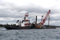 Thumbnail Image for Gregory J Busch