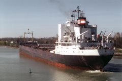 Thumbnail Image for Algontario