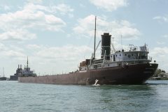 Thumbnail Image for Merle M McCurdy