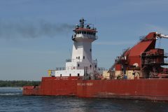 Thumbnail Image for Joyce L Van Enkevort