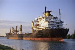 Thumbnail Image for Winter Star