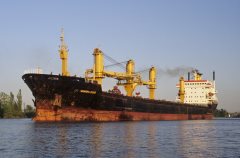 Thumbnail Image for Winter Star