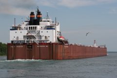 Thumbnail Image for Paul R Tregurtha