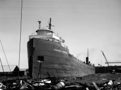 Thumbnail Image for Peavey Pioneer