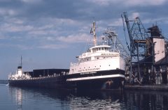 Thumbnail Image for Joan M McCullough