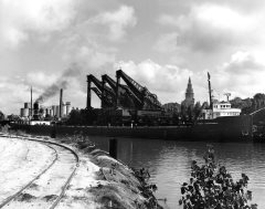 Thumbnail Image for Henry Steinbrenner