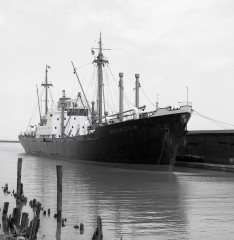 Thumbnail Image for Rheinstein. style=