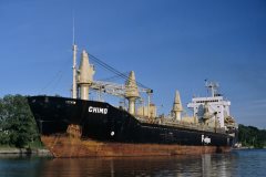 Thumbnail Image for Chimo