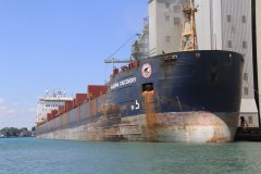 Thumbnail Image for Algoma Discovery