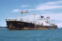 Thumbnail Image for Kavo Alkyon