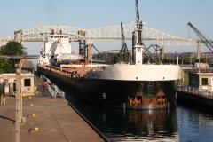 Thumbnail Image for Buffalo