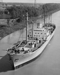 Thumbnail Image for Anna Presthus