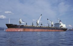 Thumbnail Image for Western Condor