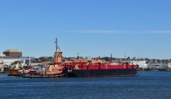 Thumbnail Image for Timothy L. Reinauer