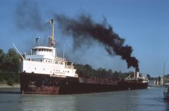 Thumbnail Image for E  J  Newberry