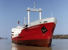 Thumbnail Image for Maplebranch