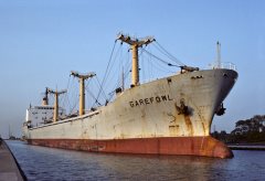 Thumbnail Image for Garefowl