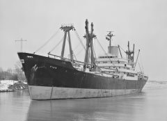 Thumbnail Image for Fian