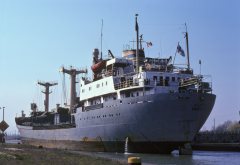 Thumbnail Image for Fleur