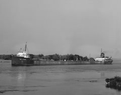 Thumbnail Image for Paul L Tietjen.