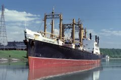 Thumbnail Image for African Neptune