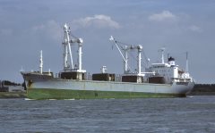 Thumbnail Image for Zini