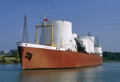 Thumbnail Image for Woodland oncontextmenu=