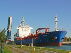 Thumbnail Image for Amur Star