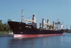 Thumbnail Image for Aurora Topaz