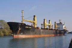 Thumbnail Image for Aurora Topaz