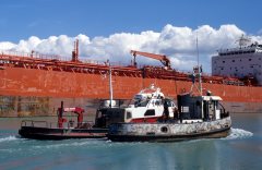 Thumbnail Image for Bert Verge