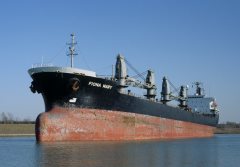 Thumbnail Image for Fiona Mary