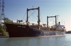 Thumbnail Image for Faith Star