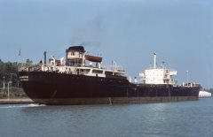 Thumbnail Image for Piviere