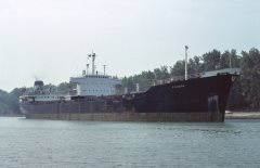 Thumbnail Image for Piviere